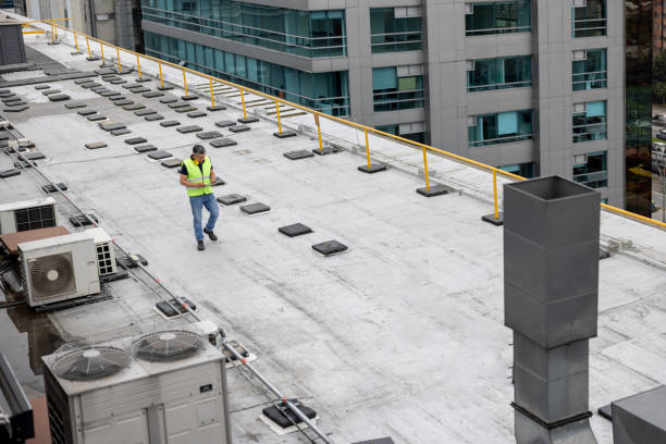 Best Roof Insulation Installation  in Southgate, MI