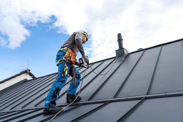 Best Skylight Installation and Repair  in Southgate, MI